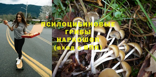 MESCALINE Пересвет